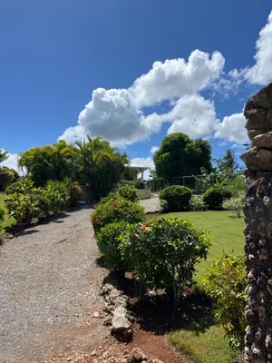 a garden with bushes and a house in the background at Villa Karolina in Las Galeras