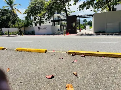 a bunch of leaves on the road next to a street at Divine Stay 3 Bedroom One minute from the beach on the malecon in San Felipe de Puerto Plata