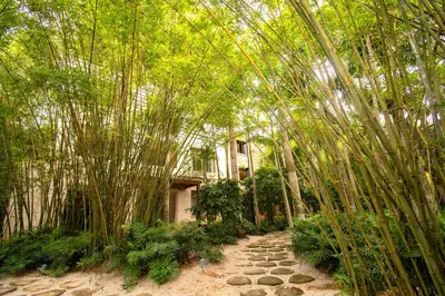 a path in front of a house with bamboo trees at Apto en Casa de Campo en Los Altos 2 in La Romana