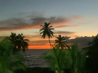 a painting of a beach with palm trees at sunset at Estancia Nana apartamento vista al mar piscina WIFI cocina completa aire acondicionado Lavadora secadora in Juan Dolio