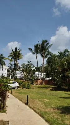 a sidewalk next to a lawn with palm trees at Residencial caoba in Las Terrenas