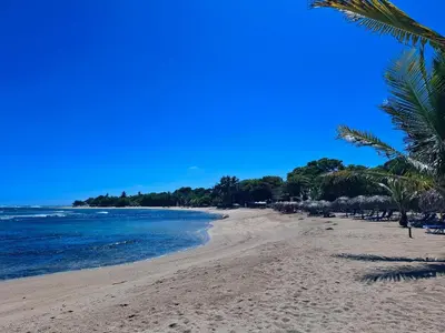 a beach with palm trees and the ocean at Costambar Ocean Breeze - Beachfront Apartment with Pool in San Felipe de Puerto Plata