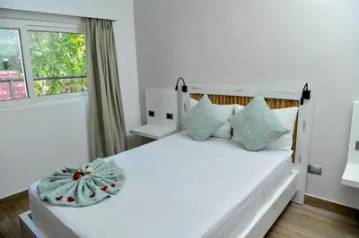 a bedroom with a white bed with pillows and a window at Honky Tonk Colonial in Santo Domingo