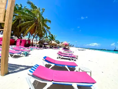Gallery image of Radiant Realm Residence Free Parking BBQ Central los Corales in Punta Cana
