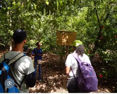 a group of people walking on a trail in the woods at Sábana de la mar in La Tentación