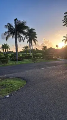 an empty road with palm trees in the distance at guababerry Juan dolio in Los Conucos