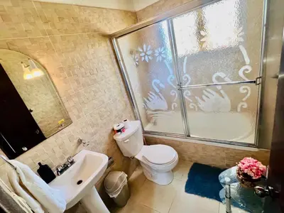 a bathroom with a shower and a toilet and a sink at Apartamento Brisas de la Montaña in Jarabacoa