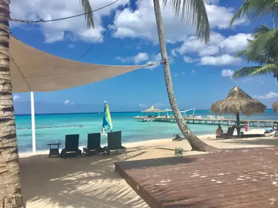 a beach with chairs and umbrellas and the ocean at Beach Day at CadaquesCaribe Bayahibe in Bayahibe