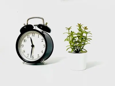 an alarm clock next to a potted plant at Villa Olímpica Doble Vía in Marilópez
