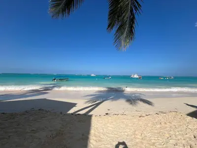 a palm tree on a beach with the ocean at Luxury Beach Penthouse with Pool, BBQ, AC, Wi-Fi, 5-Min Walk to El Cortecito & Bavaro Beaches, Punta Cana in Punta Cana