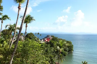 a house on a hill next to the ocean with palm trees at Eurostars Grand Cayacoa in Santa Bárbara de Samaná