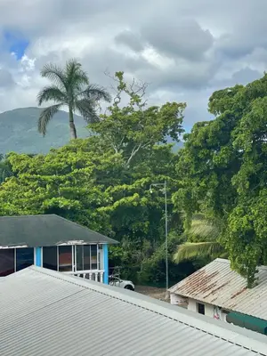 a palm tree in the distance behind roofs of houses at Tiny Home-El Pueblito in San Felipe de Puerto Plata