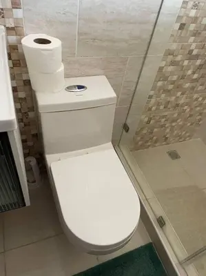 a white toilet in a bathroom with a shower at apartamento 3 habitaciones 15 minutos aeropuerto las america in San Isidro