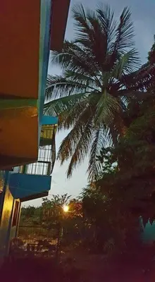 a palm tree is in front of a building at Home away from Home in La Villa Isabela in La Isabela