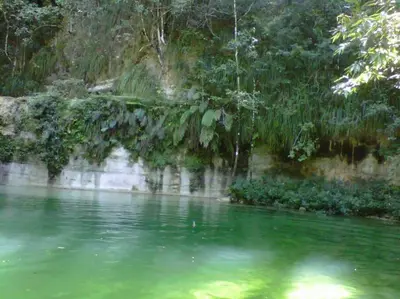 a river with trees hanging over the water at Home away from Home in La Villa Isabela in La Isabela