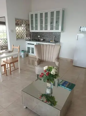 a living room with a chair and a table with a vase of flowers at Encantador Apartamento con agua caliente in Los Paredones