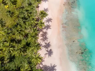 an overhead view of a beach with palm trees and the ocean at Casa Phil - Amazing Sea View Luxury Modern, Fully Staffed in Las Terrenas
