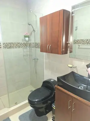 a bathroom with a toilet and a sink and a shower at Apartamento Oasis PUNTA CANA in Punta Cana