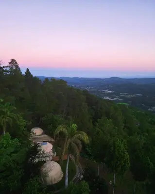 a palm tree on top of a hill with trees at Nomad Dome at Salto Jimenoa Waterfall in Jarabacoa