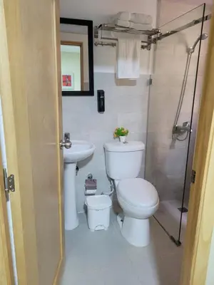 a bathroom with a toilet and a sink and a shower at Apartamento Amaya in Licey