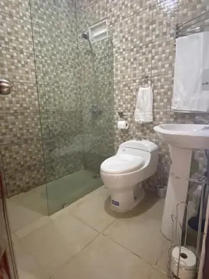 a bathroom with a shower and a toilet and a sink at Hogar lejos de casa, piscina in San Cristóbal