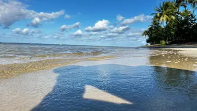 a shadow of a star on the beach at Casa Ballenas3 SF in Las Terrenas