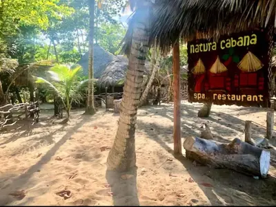 a palm tree on a sandy beach with a sign at Blue fish apartamento in Sosúa