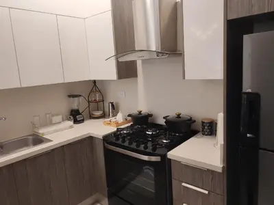 a kitchen with a black stove and a sink at Style and Confort Apart Villa Palmera in Santo Domingo