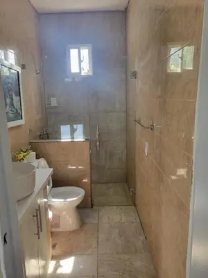 a bathroom with a shower and a toilet and a sink at The Omelís House in Santa Bárbara de Samaná