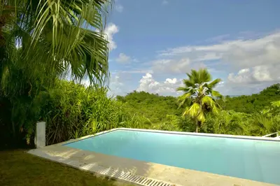 a blue swimming pool with a palm tree in the background at Villa Valentine LomaBonitaLasTerrenas in Las Terrenas