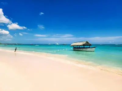 a boat on a beach with a person in the water at Rooftop, Pool View, Walk to Beach, Dining, Shops in Punta Cana