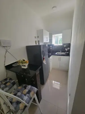 a small kitchen with a black refrigerator and a sink at The Omelís House in Santa Bárbara de Samaná