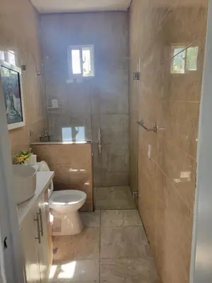 a bathroom with a shower and a toilet and a sink at The Omelís House in Santa Bárbara de Samaná