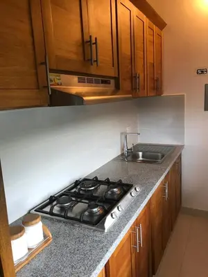 a kitchen with a stove top and a sink at casita del padre pio in Punta Rucia