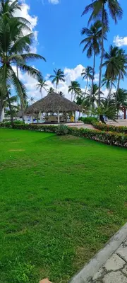 a park with palm trees and a grass field at Confortable vista al mar in Juan Dolio
