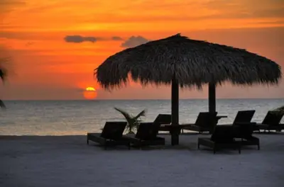a group of chairs and an umbrella on a beach at 2BR 2BA Beachfront With View 62 in Bayahibe