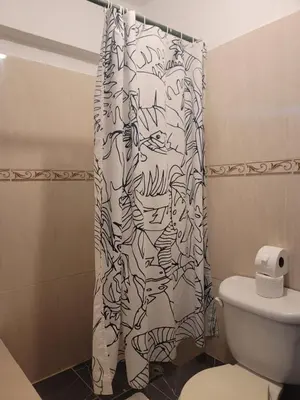 a bathroom with a shower curtain with a toilet at Fantastic apartment 1Rooms zona colonial in Santo Domingo