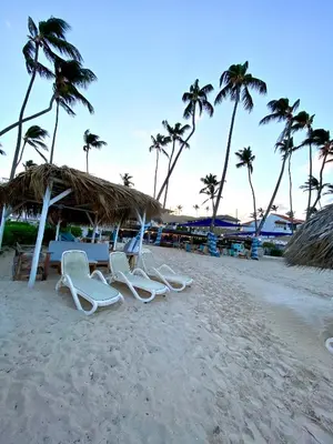 a group of chairs on a beach with palm trees at Paradise Arenas De Bávaro RD in Punta Cana