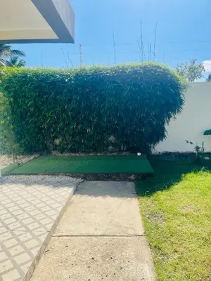 a green hedge in front of a building at Villas Miranda in La Tentación