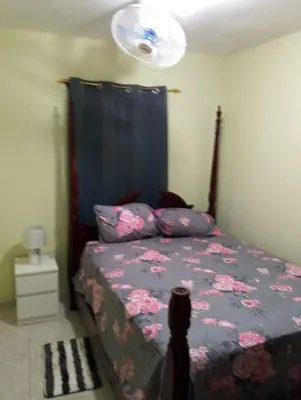 a bedroom with a bed with a blue curtain at confor y seguridad in Santo Domingo