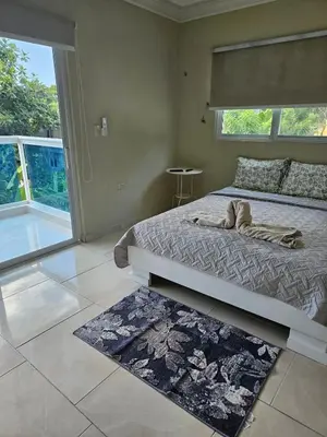 a bedroom with a bed and a large window at Full Department 2 in Las Terrenas