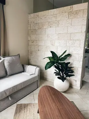 a living room with a couch and a potted plant at Casa Caipirinha Encuentro in Cabarete