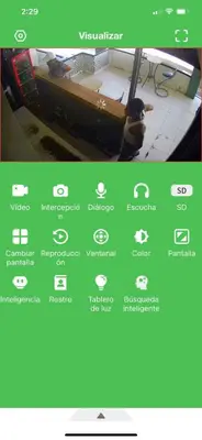 a screenshot of a cell phone with a cat standing next to a window at Antare ll edificio 52 A3 in Santo Domingo