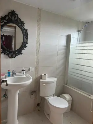 a bathroom with a toilet and a sink and a mirror at Vista al Caribe in La Francia
