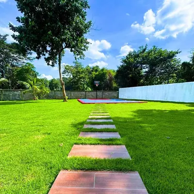 a stepping stone path in a grassy field with a tree at Villa Canaan in Pedro Brand