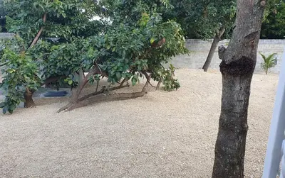 a group of trees sitting on top of a sandy beach at APE Dream Villa in Itabo
