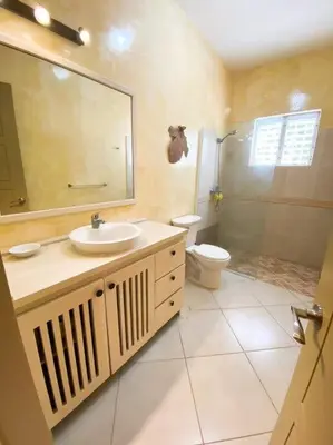 a bathroom with a sink and a shower and a toilet at Gorgeous apartment steps to Playa Punta Popy in Las Terrenas