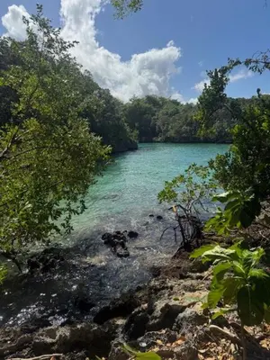 a river with green water and trees on the shore at Beautiful villa in the Caribbean! in Sosúa