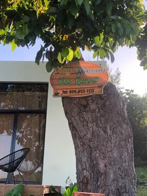 a sign on a tree in front of a building at Casa Playa Rincon Hills Samana Las Galeras by BTC Group Crypto in Castellalito