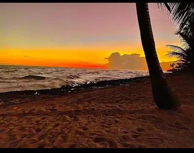 a sunset on the beach with a palm tree at Albatros Cozy Apt in Juan Dolio